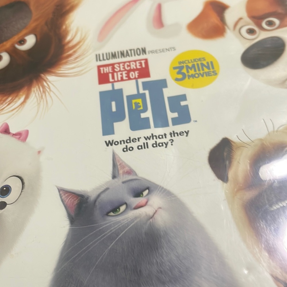 Movies for
